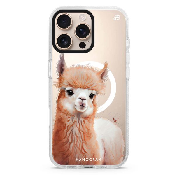 A Alpaca iPhone 14 Pro MagSafe Compatible Ultra Clear Case Online Sale