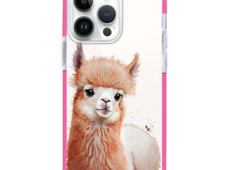 A Alpaca iPhone 13 Pro Max Ultra Shockproof Case Online Sale