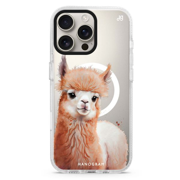 A Alpaca iPhone 14 Pro MagSafe Compatible Ultra Clear Case Online Sale