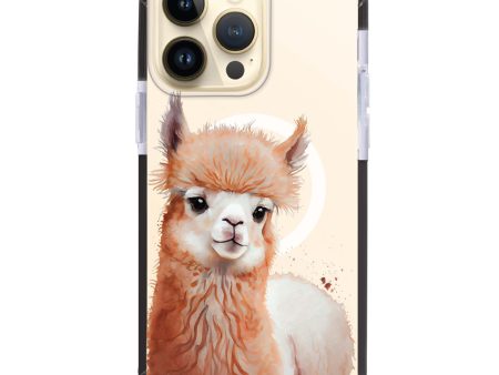 A Alpaca iPhone 13 Pro Max MagSafe Compatible Ultra Shockproof Case For Sale